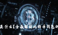 比特币钱包是什么？全面解析比特币钱包的功能