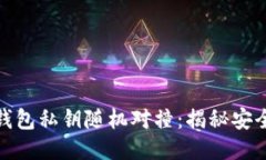 比特币钱包私钥随机对撞：揭秘安全与风险