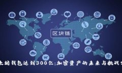 以太坊钱包达到300亿：加密资产的未来与挑战分