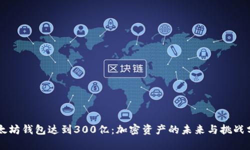 以太坊钱包达到300亿:加密资产的未来与挑战分析