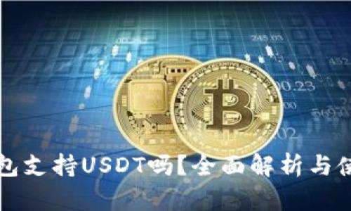 极客钱包支持USDT吗？全面解析与使用指南