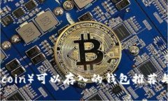 屎币（Shitcoin）可以存入的钱包推荐与使用指南