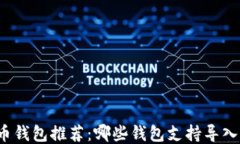 比特币钱包推荐：哪些钱包支持导入私钥？