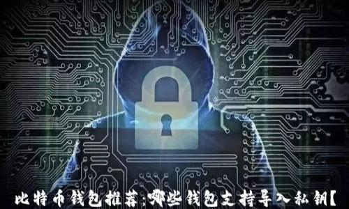 比特币钱包推荐:哪些钱包支持导入私钥?