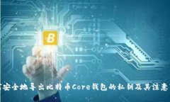 如何安全地导出比特币Core钱包的私钥及其注意事