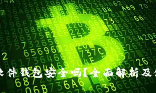比特币软件钱包安全吗?全面解析及使用指南