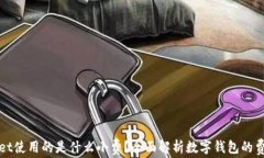 tpWallet使用的是什么小费？全面解析数字钱包的费
