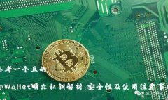 思考一个且的tpWallet明文私钥解析：安全性及使用