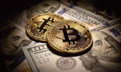 钱包助记词泄露后的解决方案与保护措施