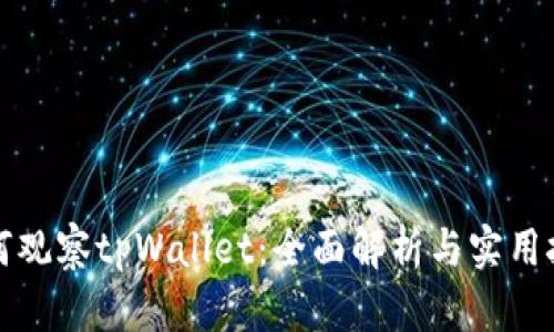 如何观察tpWallet：全面解析与实用技巧