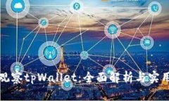 如何观察tpWallet：全面解析与实用技巧