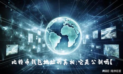 比特币钱包地址的真相:它是公钥吗?