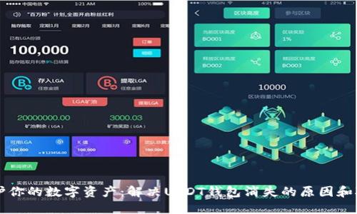 保护你的数字资产：解决USDT钱包消失的原因和对策