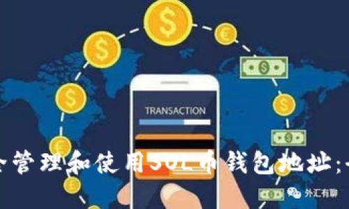 如何安全管理和使用SOL币钱包地址:全面指南