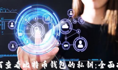 如何查看比特币钱包的私钥:全面指南