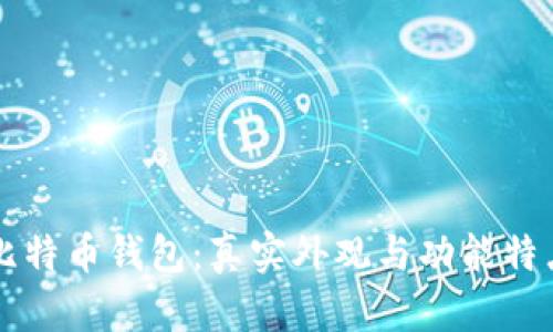揭秘比特币钱包:真实外观与功能特点一览