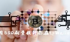 如何利用BSD刷量提升你在tpWallet的收益